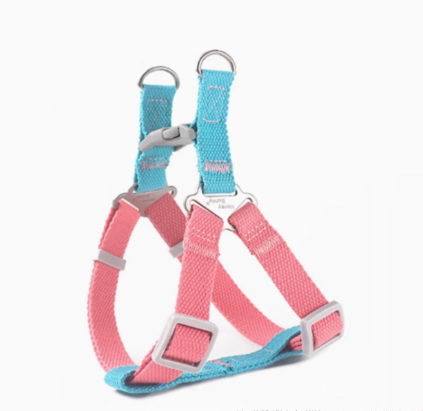 Contraste couleur Vest-style Pet's Chest-back Traction chien laisse