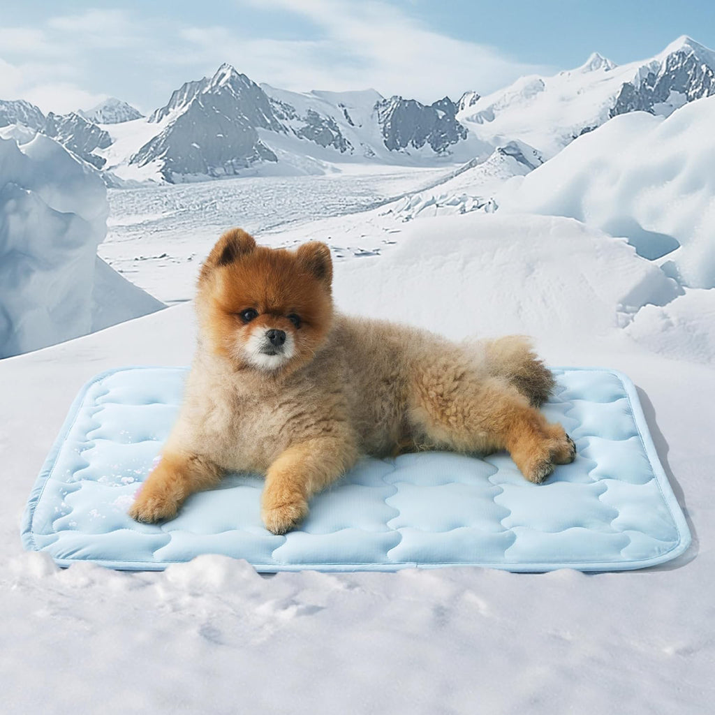 Tapis de glace pour animaux de compagnie lavable à la machine
