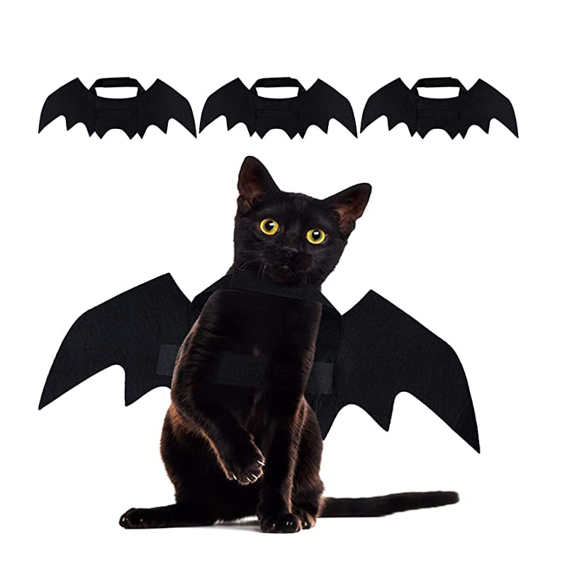 Halloween Créative Halloween Chat Chat Petits chiens Bat Wings Halloween Chat Wings Accessoires