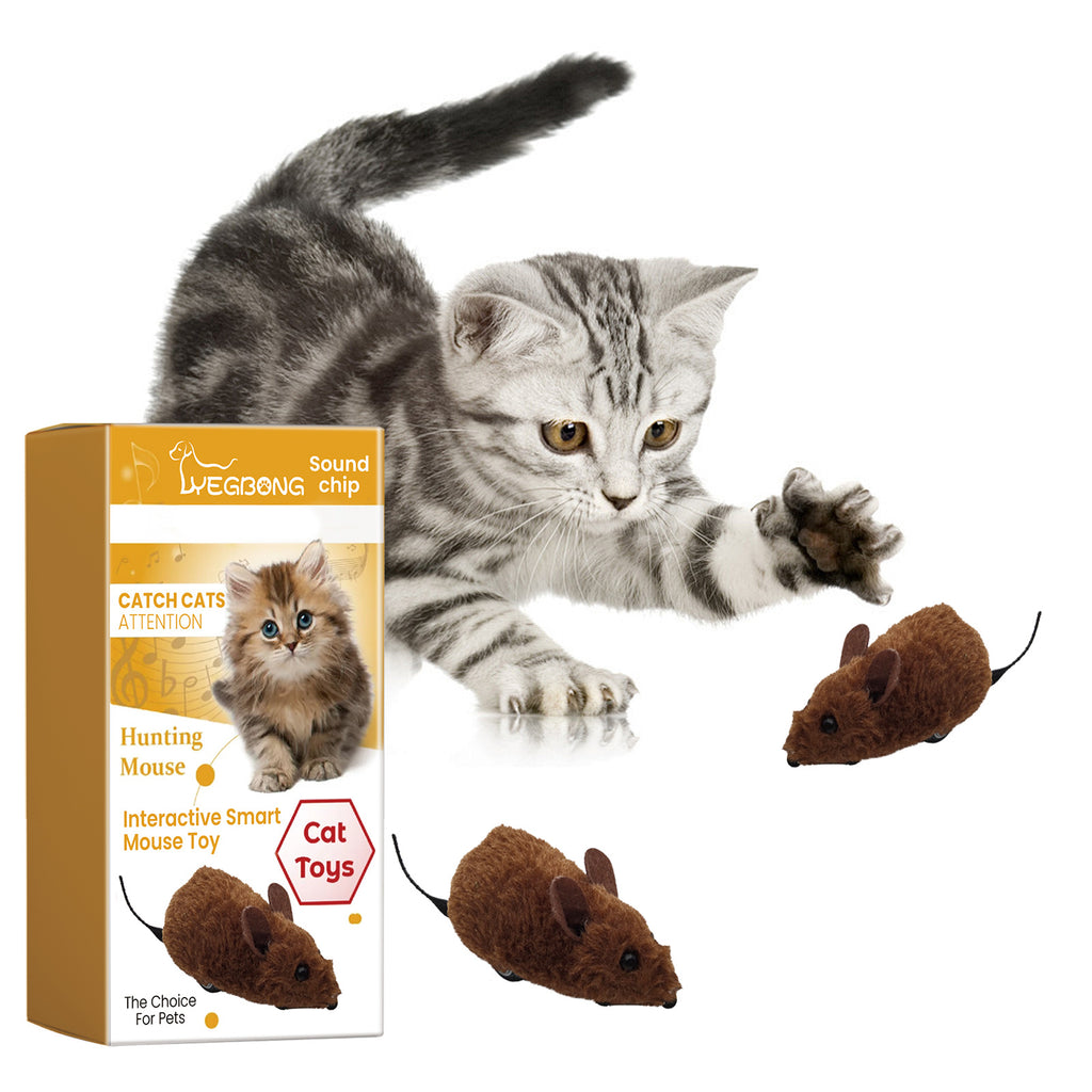 Jouet interactif de souris de Yegbong Pet