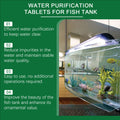 Comprimés de purification de l'eau du réservoir de poisson Yegbong