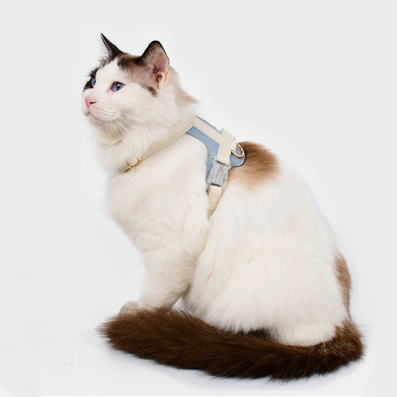 Harnais pour chiens et chats et laisses pour marcher