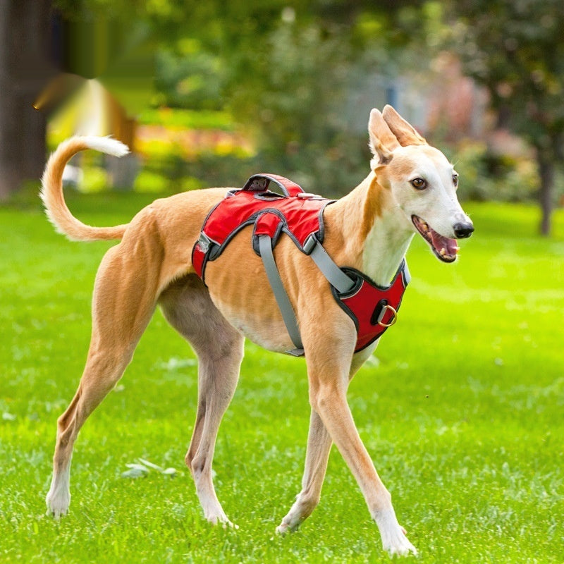 Grand et de taille moyenne Dog Outdoor Vest style Harness