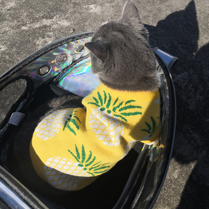 Mignon ananas Imprimer Jarre Aero Bull Automne et hiver Vêtements de Noël