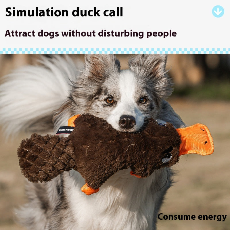 Simulation Platypus peut appeler les chiens en peluche