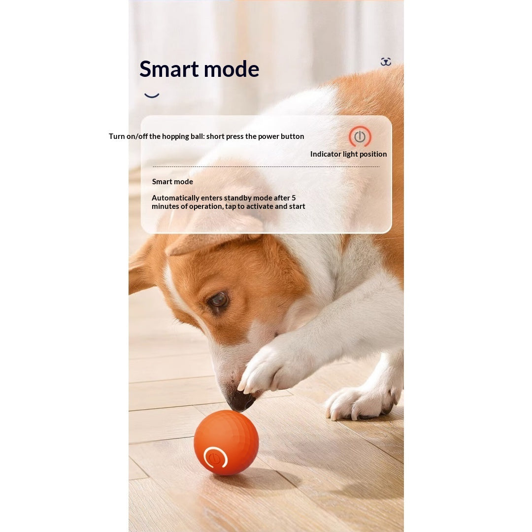 Boule de jouet électrique interactive pour chien gravitationnelle pour self-play