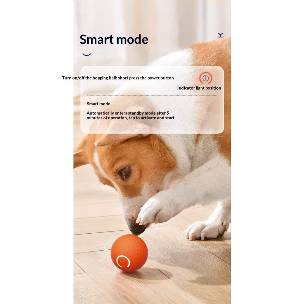 Boule de jouet électrique interactive pour chien gravitationnelle pour self-play