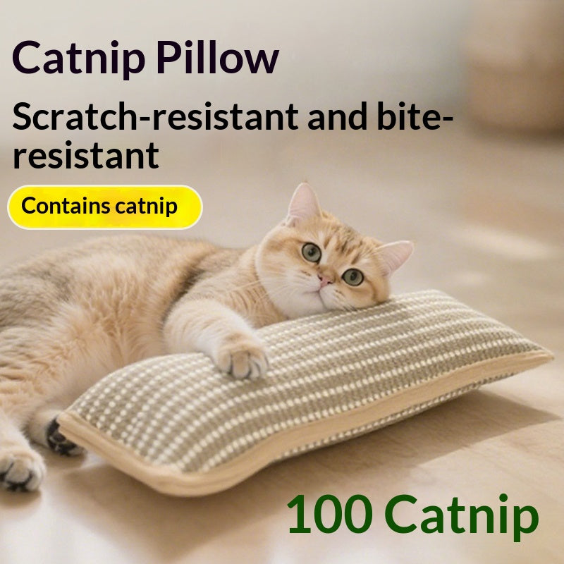 Catnip Toy Scratching Post Pillow