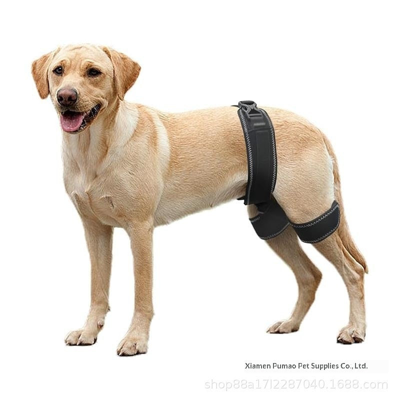 Pet Dog Hip Support Ceinture Orthèse Appareil