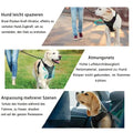 Pas de Harnais de Pull Chien Adjustable Réflectif Nylon Pet Vest avec Poop Bag Dispenser Set