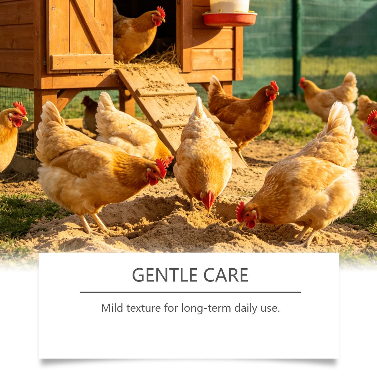 Kriath Chicken Care Supplement Nutritionnel and Healthy Pet Feed Additive encourage à manger A