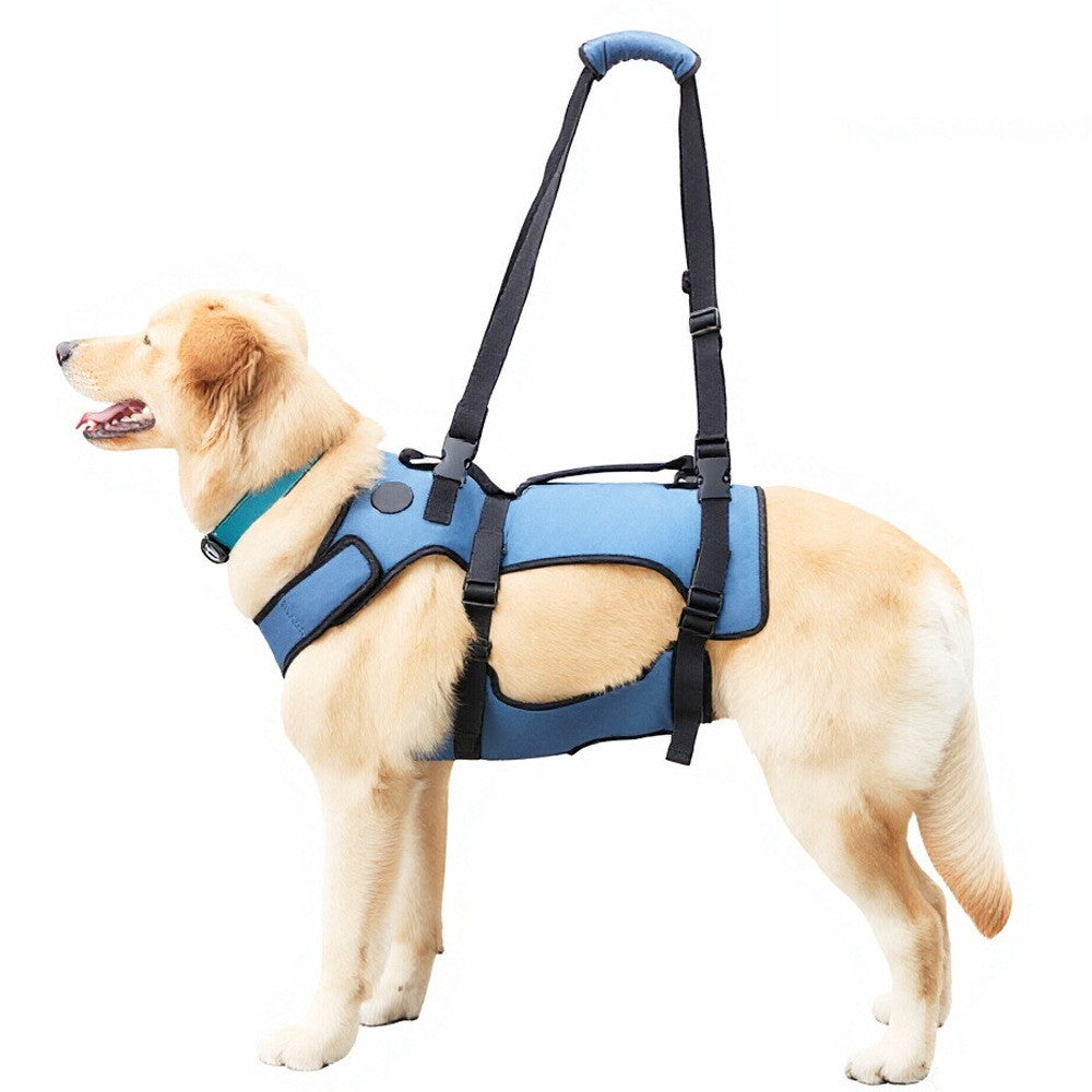 Assistance pour un chien avec jambes faibles