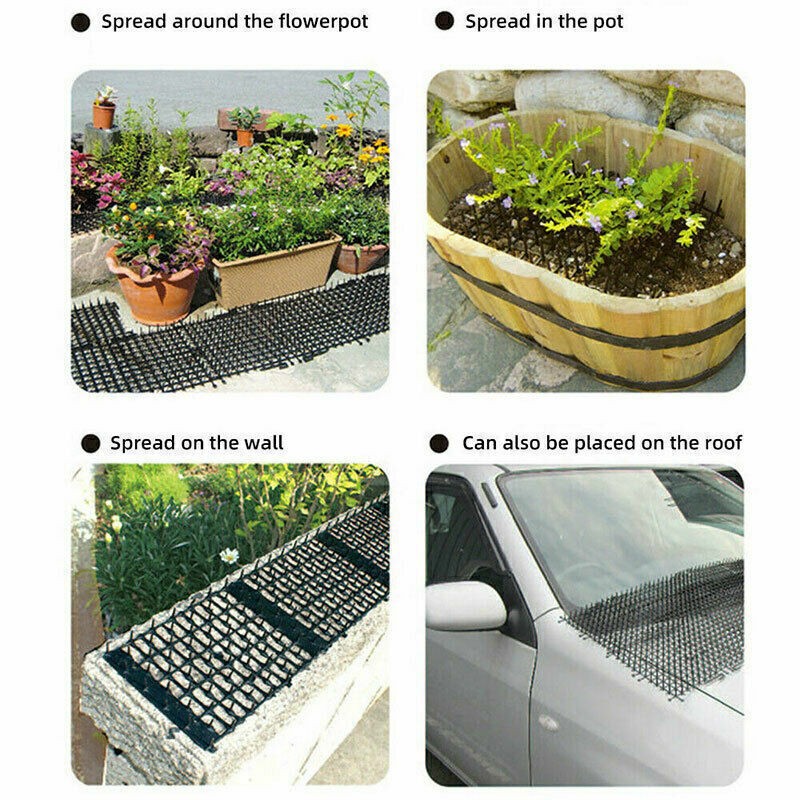 2m Chat Scat Mat Spike Chien Anti-Cat Peste Déterrent Jardin Éjaculation animale