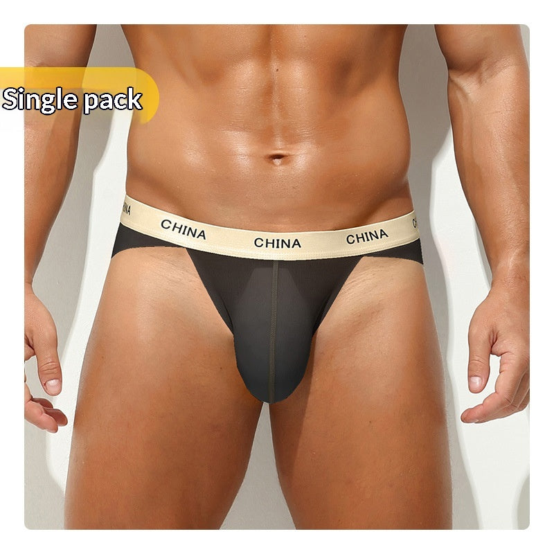 Hommes Ice Silk Sports Antibactériens Slips