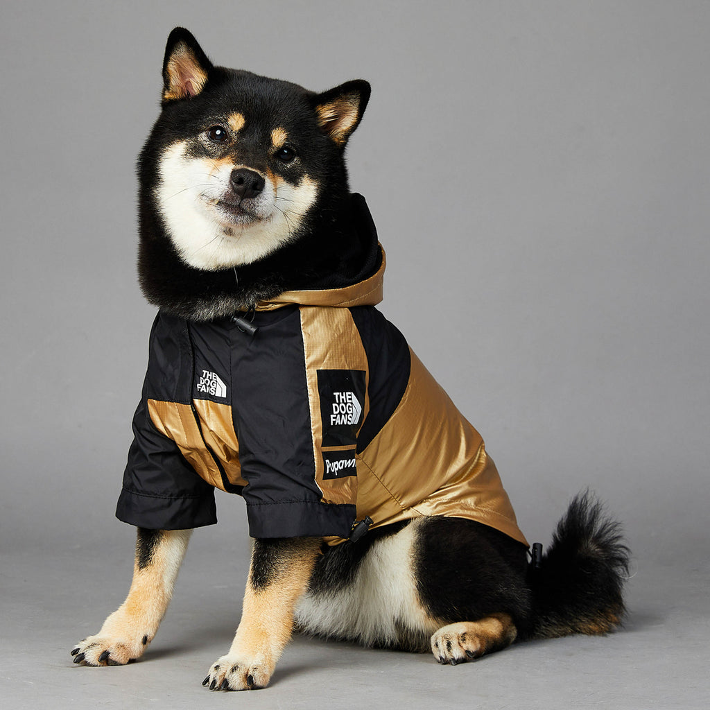 Veste imperméable et coupe-vent pour grand chien