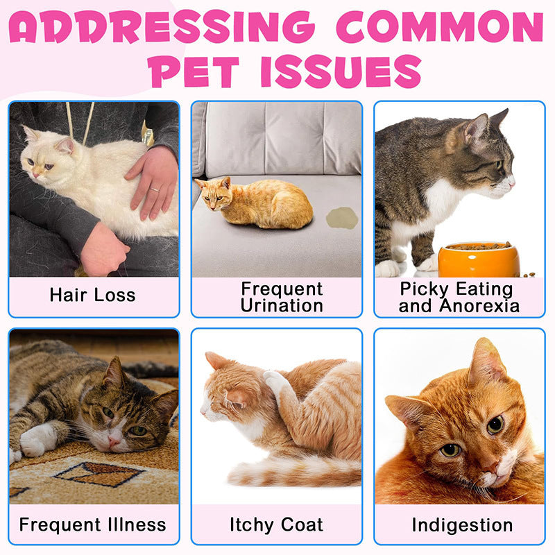 Les gouttes de collagène pour les chats pour stimuler l'immunité et soutenir la digestion