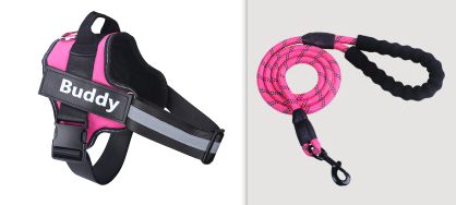 Set de ceinture de poitrine en laisse d'animal de mode simple