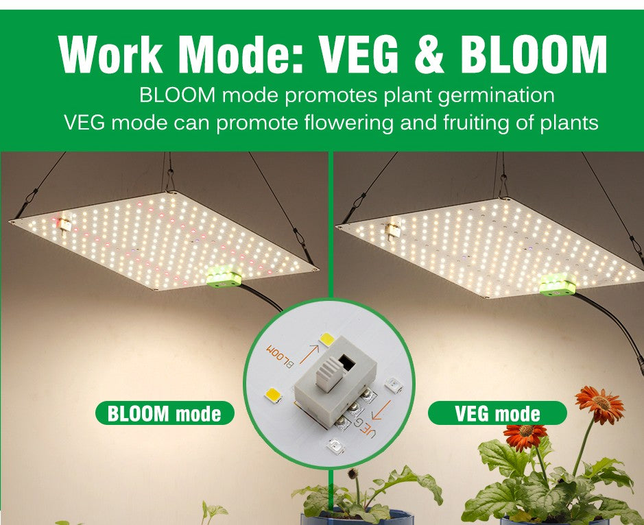 120W Quantum Board Plant Grow Light