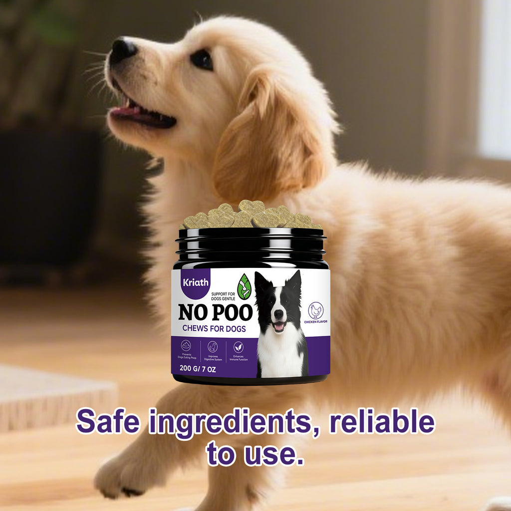Pas de chips pour chiens