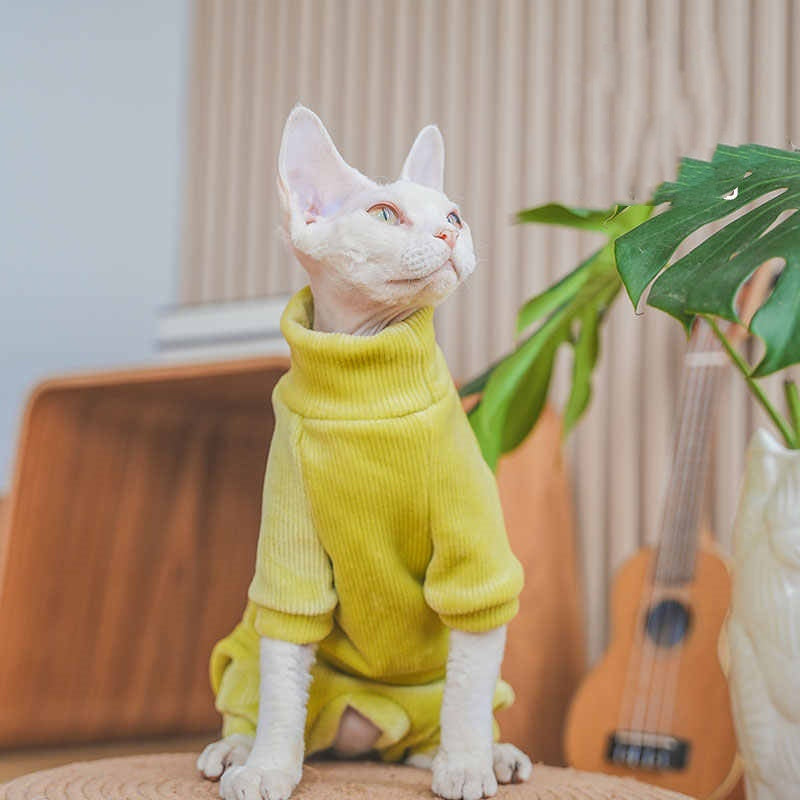 Les vêtements de chat et de chat de Devon sont épais pour l'automne Et l'hiver