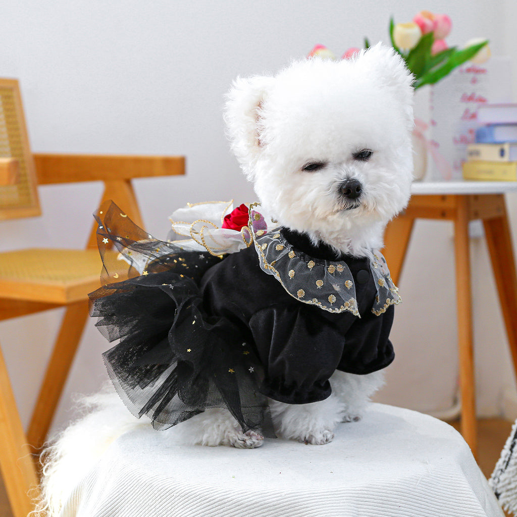 Robe de rose de velours noir pour chiot petit chien