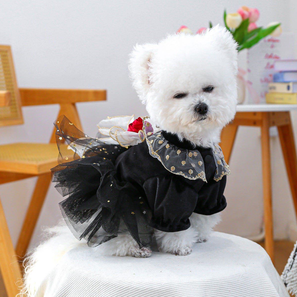 Robe de rose de velours noir pour chiot petit chien