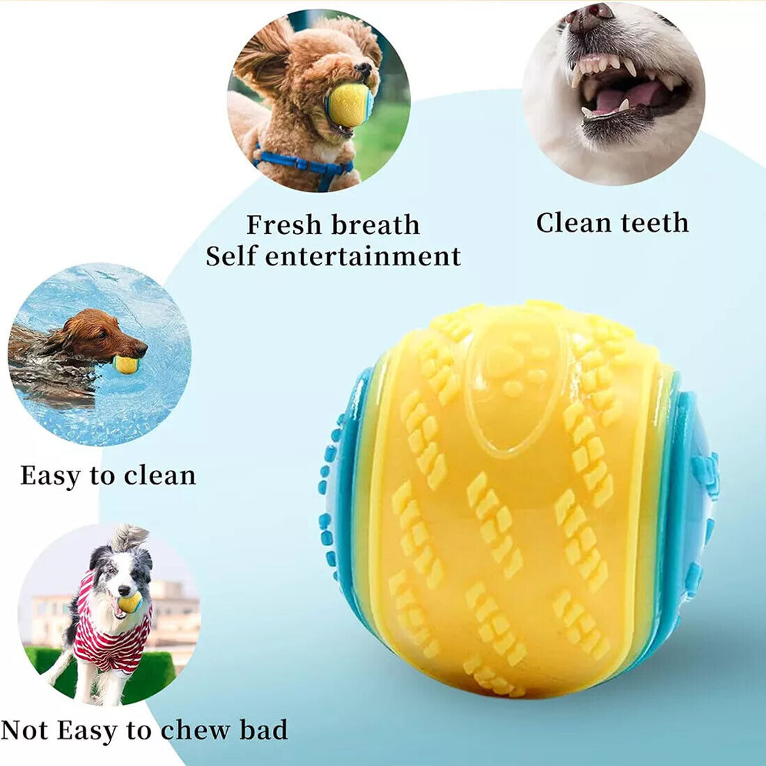 Scooby-Doo Squeaky durable Set de 8 boules de chien pour le nettoyage des dents Interactive UK