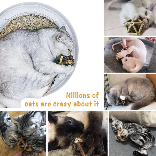Bâton matatabi chat avec balle cataire et grelot, jouet à mâcher