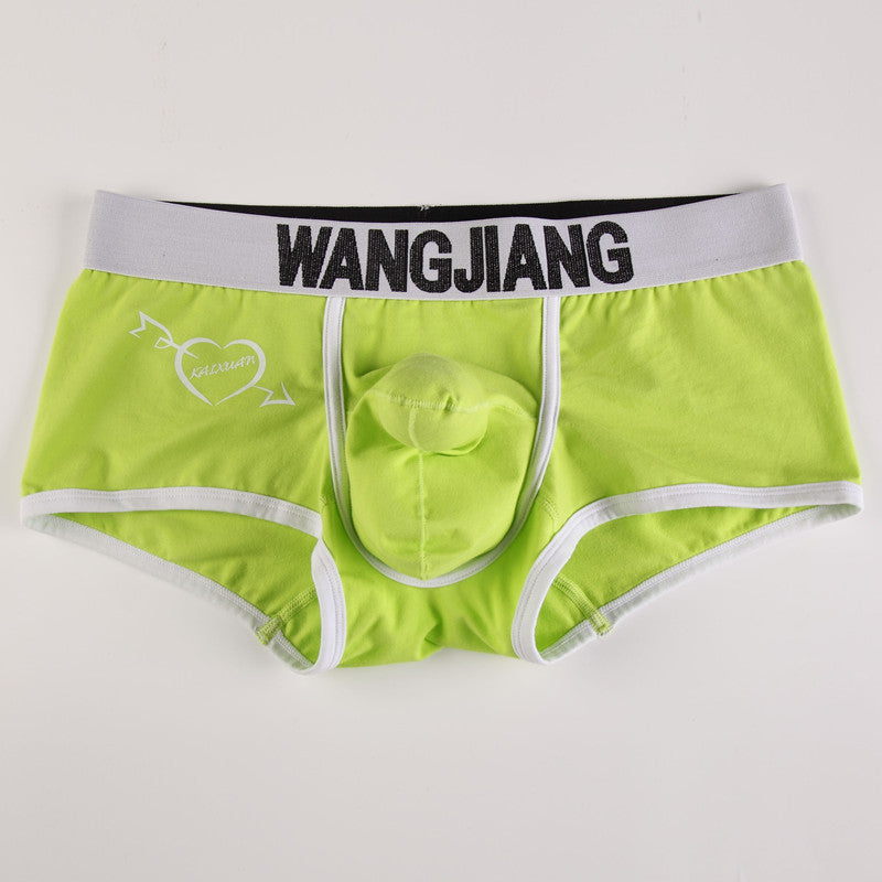Sous-vêtements pour hommes Boxers Low Waist Coton U Convex Trunk Mode Sexy Boxers pour hommes