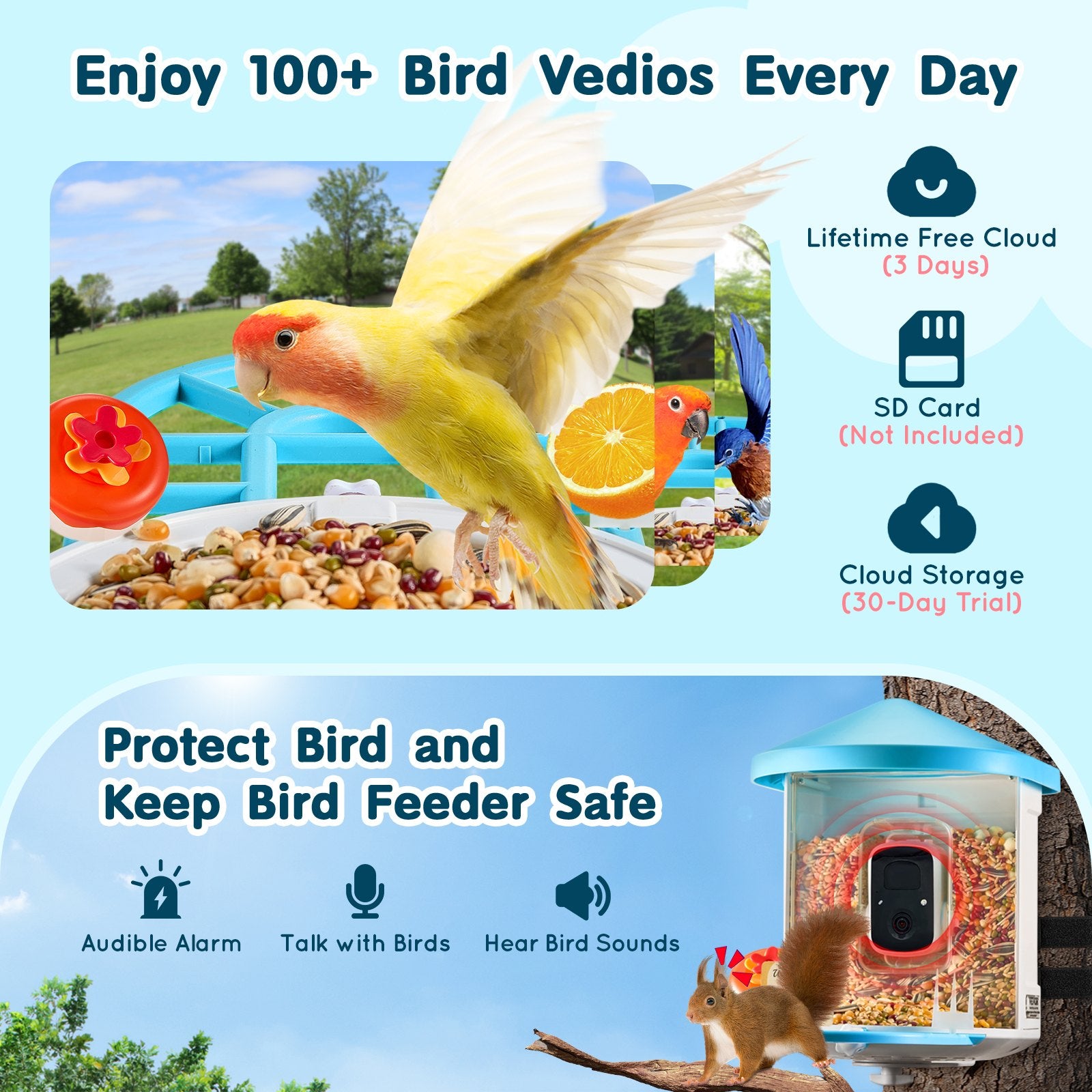 VEVOR Smart Bird Feeder avec caméra 2K HD AI Identifier les espèces d'oiseaux Capture automatique