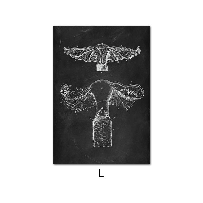Peinture sur toile du système d'organes de squelette d'anatomie humaine
