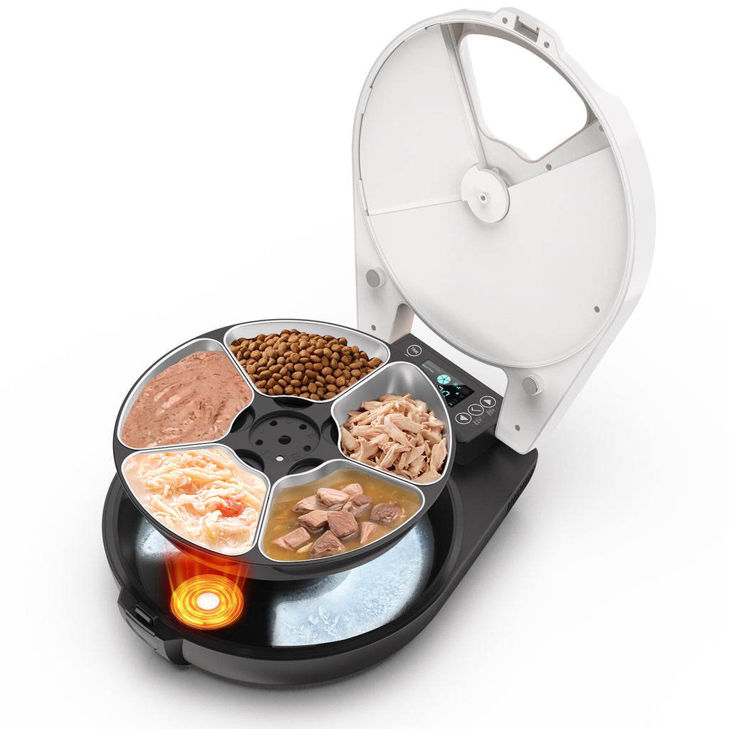 Alimentaire de chat humide automatique