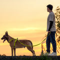 Chiens de race moyenne et de race grande laissés à la main