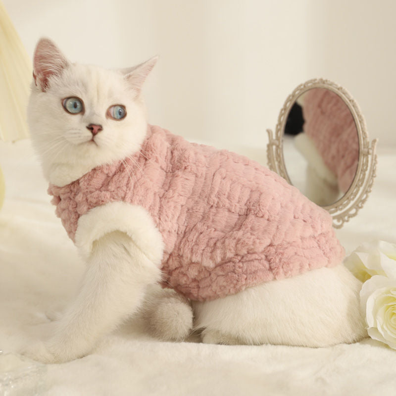 Vêtements de chat pour animaux de compagnie