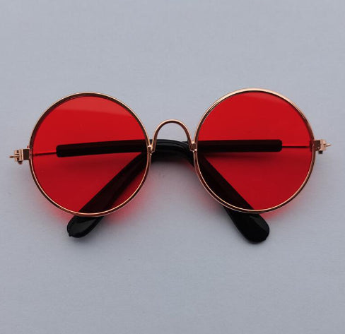 Lunettes de soleil pour chats