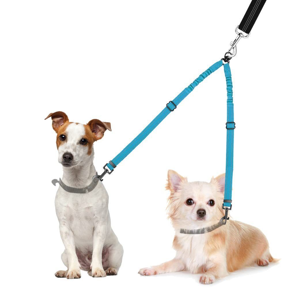 Produit Ceinture de traction réfléchissante tournante 360 pour chien double frontière Amazon