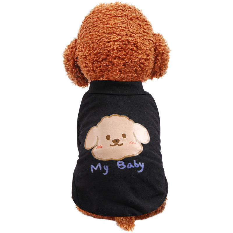 Pet transparent imperméable Rainbow Poncho