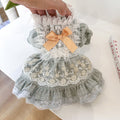 Jupe en dentelle pour petit chien de style court