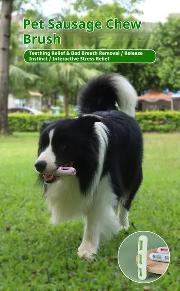 DOG Chew jouets pour le nettoyage des dents