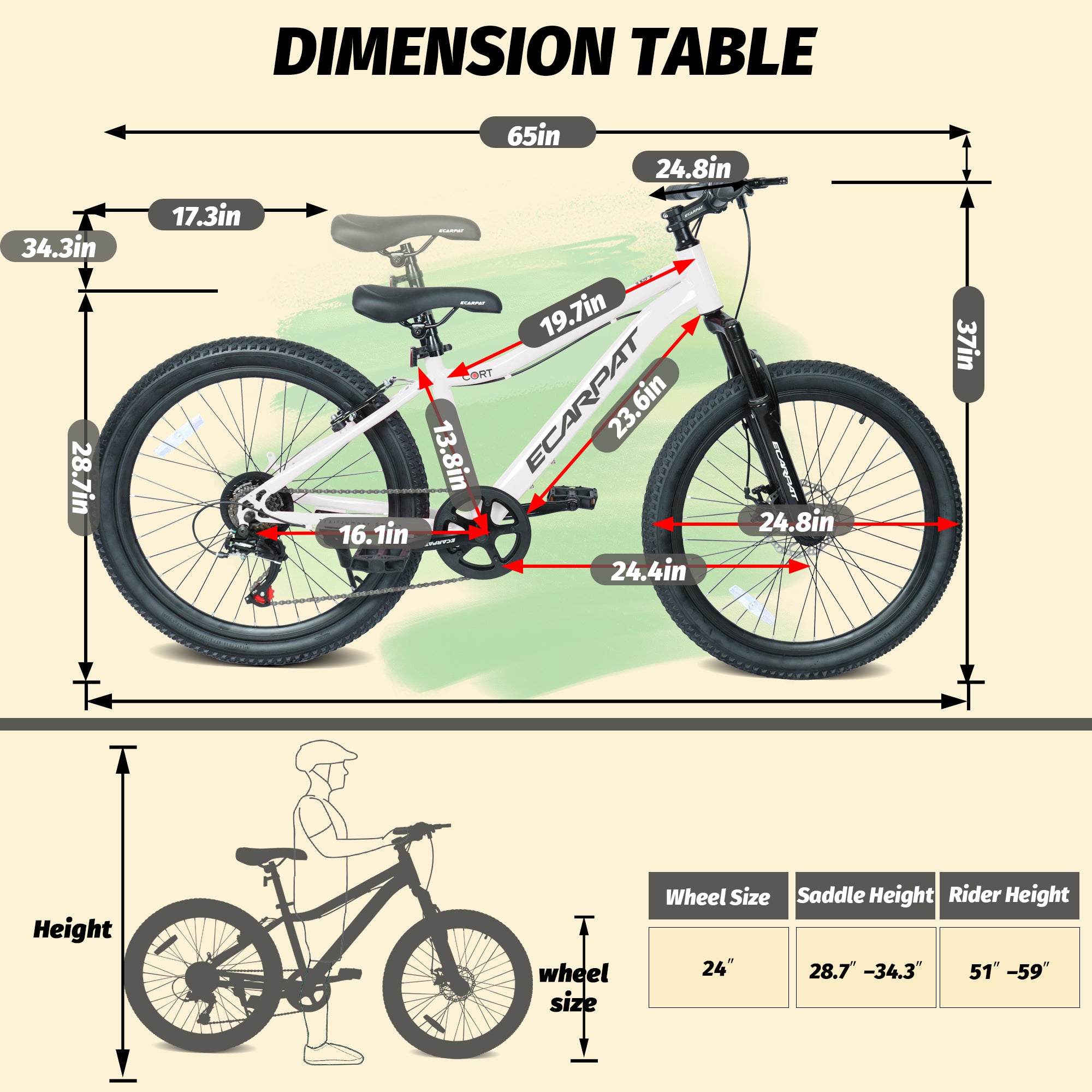 Vélo de montagne jeune 24 pouces avec 7 vitesses et suspension avant Cadre en acier durable