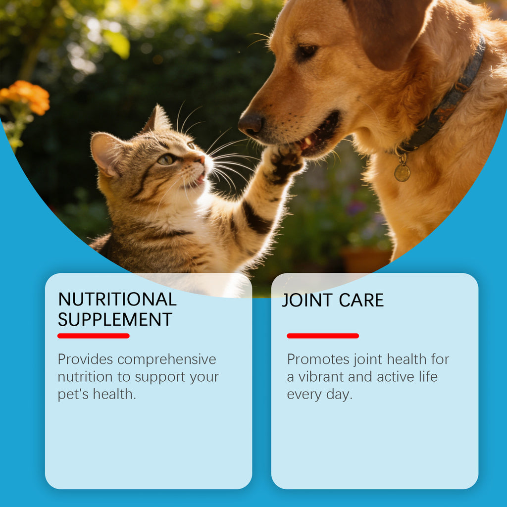 Suppléments de soins à domicile pour le corps des animaux pour les chats et les chiens