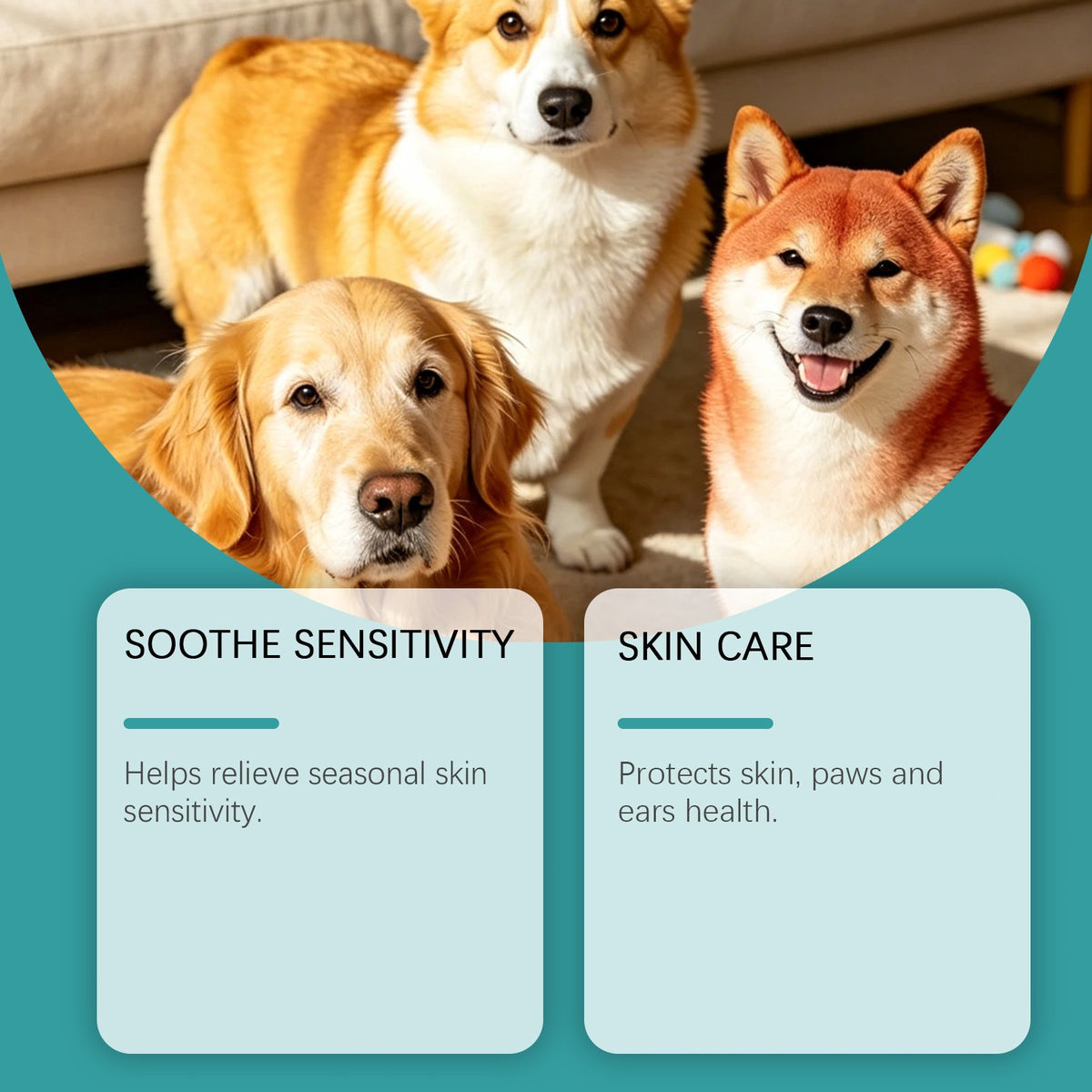 Kriath soin des chiens comprimés à croquer avec des ingrédients doux pour les soins quotidiens et la Bala nutritionnelle