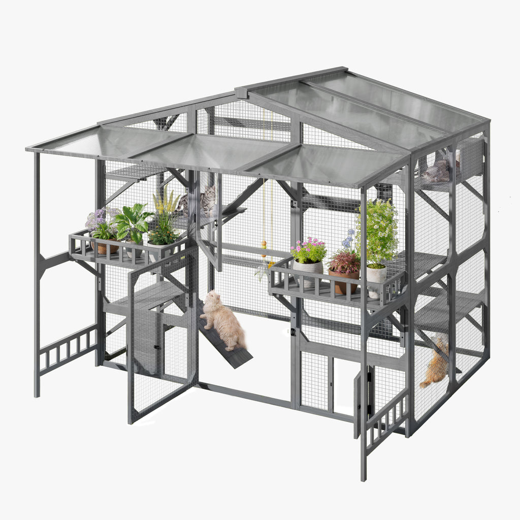 Grand Catio extérieur pour 6-10 Chats