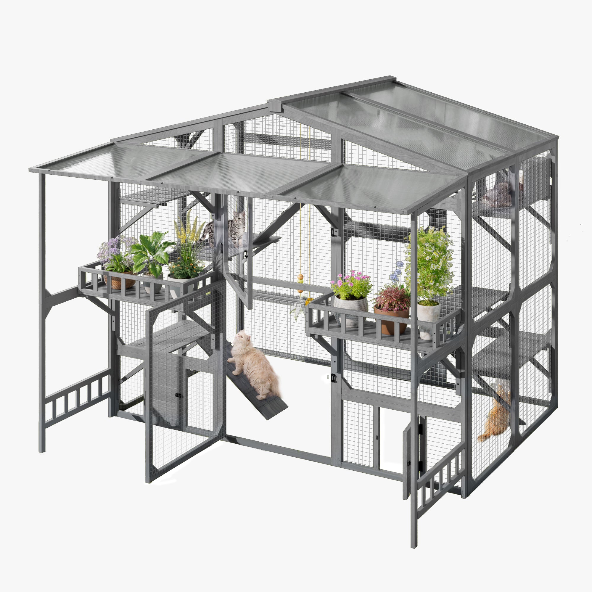 Grand Catio extérieur pour 6-10 Chats