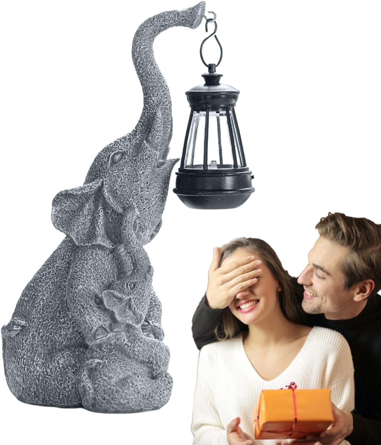Lumière solaire éléphant