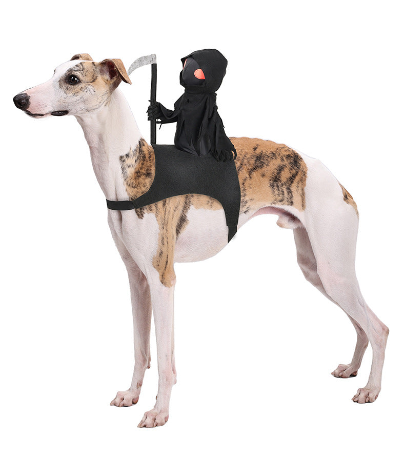 Chien Dark Harvest Costume de transformation chevalier Costume de chat Halloween Costume drôle Cat Cut