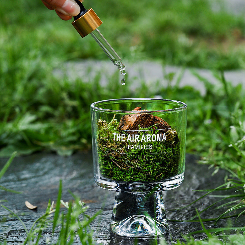 Pine Wood and Moss Aroma Diffuser Cup Ornement sans feu