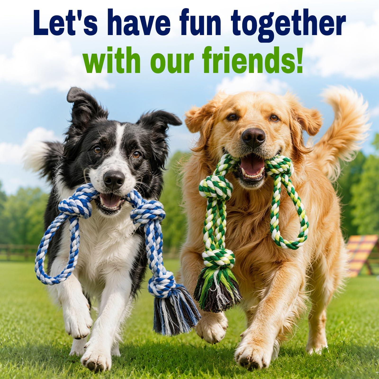 Jouets de corde de chien pour les brochettes agressives