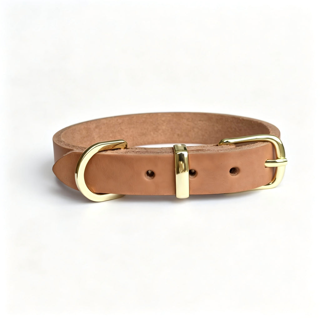 Collier minimaliste pour animaux de compagnie en alliage de zinc