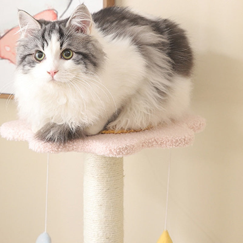 Cadre d'escalade de chat Sisal Petit lit de poste de scratching